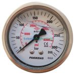 Q63 0-100 Bar Arka Bağl Gliserinli Manometre Metal Gövde Cam Kapak 1/4''