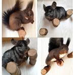 QBLEEV Hamster Dişler için Çiğneme Oyuncakları, Ahşap Çiğneme Çubukları Standları Sincaplar için Tünekler Tavşanlar, Kafes Malzemeleri Kuşlar için Platform Standları Papağan Gine Domuzları Çinçilla