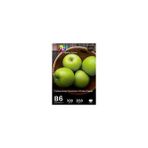QC B6 Fotoğraf Kağıdı 260 g Lustre Premium 128x182mm Yazıcılarla Uyumlu 100 Yaprak
