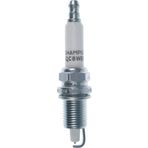 Qc8wep Buji - Champıon