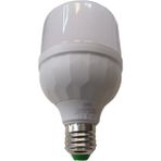 Qenos 20W Torch Ampul Beyaz