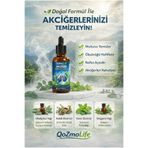 ql Qozmolife since 2009 QOZMOLİFE Akciğer Temizleme ve Detoks Damlası