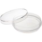 Qlp Cam Petri Kabı Kutusu 100 x 15 mm