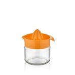 Qlux Fresia Asorti 300 ml Desenli Limonluk