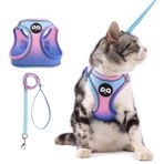 QQPETS Yürüyen Kaçış Korumalı Kedi Koşum Takımı ve Tasma Seti, Reflektif Şeritli Güvenli Ayarlanabilir Yavru Kedi Yelek, Kolay Kontrol Yumuşak File Hafif Ceket (Mavi-Pembe Gradyan, S (Göğüs
