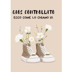 Quaderno frasi simpatiche "Caos controllato": Quaderni a righe per appunti e organizzazione, idea regalo simpatico ragazza, ufficio, lavoro, scuola, collega