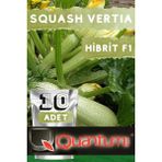 Quantum Seeds Squash Vertıa F1 Hibrit Sakız Kabak Tohumu 1 Paket (10 Adet) Tohum
