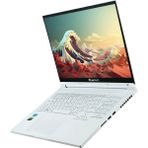 Quantum Whitefang G5040 Intel I5-13420H 8gb 500GB RTX3050 4gb HDMI 16" Freedos Gaming Notebook QNNTB10F007265 - 500 GB - 8 GB