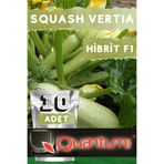 QUANTUMSEEDS SQUASH VERTIA F1 HİBRİT SAKIZ KABAK TOHUMU 1 PAKET (10 ADET) TOHUM