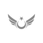 Quart Aksesuar 15 x 8 cm Kanatlı Ay Yıldız Oto Sticker Oto Araba Cam Sticker Gri