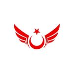 Quart Aksesuar 15 x 8 cm Kanatlı Ay Yıldız Oto Sticker Oto Araba Cam Sticker Kırmızı