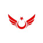 Quart Aksesuar 25 x 14 cm Kanatlı Ay Yıldız Oto Sticker Oto Araba Cam Sticker Kırmızı