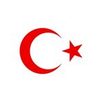 Quart Aksesuar Ay Yıldız Sticker Türk Bayrağı 10 X 7,5 cm Kırmızı, qa4209542279