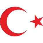 Quart Aksesuar Ay Yıldız Sticker Türk Bayrağı Oto Sticker Araba Cam Sticker - Kırmızı - 15 x 11 cm