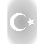 Quart Aksesuar Ay Yıldız Sticker Türk Bayrağı Sticker 10 x 7,5 cm Beyaz