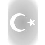 Quart Aksesuar Ay Yıldız Sticker Türk Bayrağı Sticker 20 x 14,5 cm Beyaz