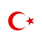 Quart Aksesuar Ay Yıldız Sticker Türk Bayrağı Sticker 20 x 14,5 cm Kırmızı