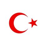 Quart Aksesuar Ay Yıldız Sticker Türk Bayrağı Sticker 40 x 29 cm Kırmızı
