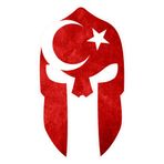 Quart Aksesuar Ay Yıldız Türk Bayrağı Miğfer Sticker 15 X 8,5 cm Renkli, 795258223515