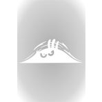 Quart Aksesuar Bagajdan Bakan Adam Oto Sticker Araba Sticker 30 x 12 cm Beyaz