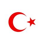 Quart Aksesuar Türk Bayrağı Sticker 30 cm Kırmızı Ay Yıldız, qas556211
