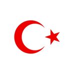 Quart Aksesuar Türk Bayrağı Sticker Kırmızı Ay Yıldız 20 cm, qaq66122