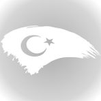 Quart Aksesuar Türk Bayrağı Türkiye Bayrak Sticker - Beyaz - 30 x 15 cm