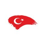 Quart Aksesuar Türk Bayrağı Türkiye Bayrak Sticker - Kırmızı - 15 x 7,5 cm