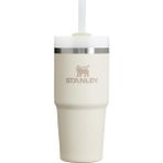 Quencher H2.0 Flowstate Paslanmaz Çelik Vakum Yalıtımlı Bardak Kapaklı ve Pipetli Su, Buzlu Çay Veya - Standart