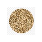 Quik Aspur 300 gr Kuş Yemi