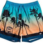 Quiksilver 23451 Erkek Pardsvly17 M Jamv Bsm6 Şort Mayo