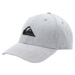 Quiksilver AQYHA04002 Decades Hdwr Erkek Gri Günlük Stil Şapka