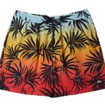 Quiksilver AQYJV03147 Everyday Mix Volley 15 Erkek Şort Mayo