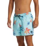 Quiksilver AQYJV03147 Everyday Mix Volley 15 Mavi Erkek Mayo Şort