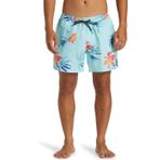 Quiksilver AQYJV03153 Everyday Solid Volley 15 Turuncu Erkek Deniz Şortu