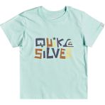 Quiksilver Bigger Picture Boy Erkek Çocuk Renkli Tişört - 6 Yaş - Mint