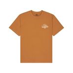 Quiksilver BLISS POINT Erkek Tişört EQYZT08259-QK.3106 Kahverengi