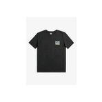 Quiksilver Colour Flow Erkek Siyah Bisiklet Yaka Tişört