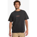 Quiksilver Colourflow Erkek Siyah Tişört - XS