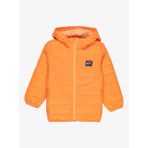 Quiksilver EQKJK03127-957 Scaly Erkek Çocuk Mont