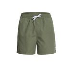 Quiksilver EQYJV03531-GPHH Erkek Şort Mayo