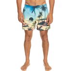 Quiksilver EQYJV03999 Paradise 15 M Volley Gri Erkek Şort