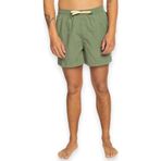 Quiksilver Eqyjv04061 Behind Waves Volley Yeşil Erkek Şort M