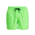 Quiksilver EQYJV04120-GGY0 Everyday Solid Yeşil Erkek Deniz Şortu