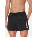 Quiksilver EQYJV04141 SPL FINELINE VOLLEY 15 Siyah Erkek Şort