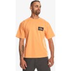 Quiksilver EQYZT07605-25178 Back Flash Ss Tangerine Erkek T-shirt