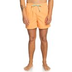 Quiksilver Erkek Behind Waves klasik şort (tekli paket)
