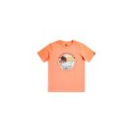 Quiksilver Erkek Çocuk Tişört Qssurfclub B Tees Mercan