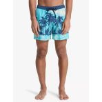 Quiksilver Erkek Desenli Deniz Şortu Eqyjv04219