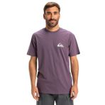Quiksilver Erkek Ev Mini Logo SS Tişört, Vintage, Mor, L